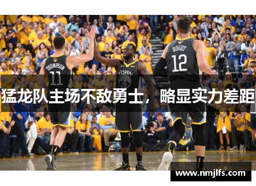 猛龙队主场不敌勇士，略显实力差距